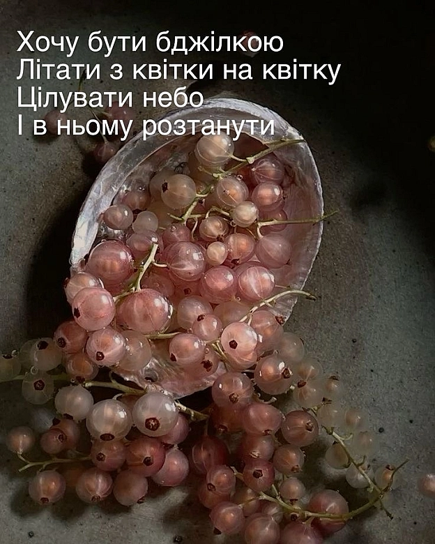 🐝 - Влада Лесюк on we.ua