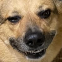 Марта Ярчук на we.ua