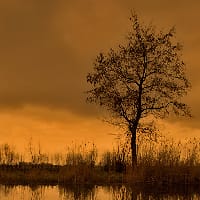 🤍💙🤍сумна весна🤍❤️🤍 на we.ua