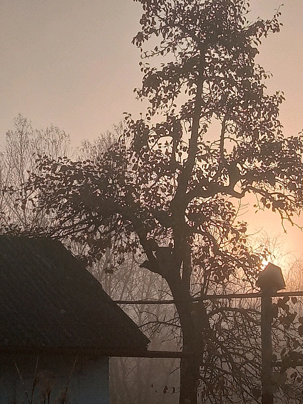 Village UA на we.ua