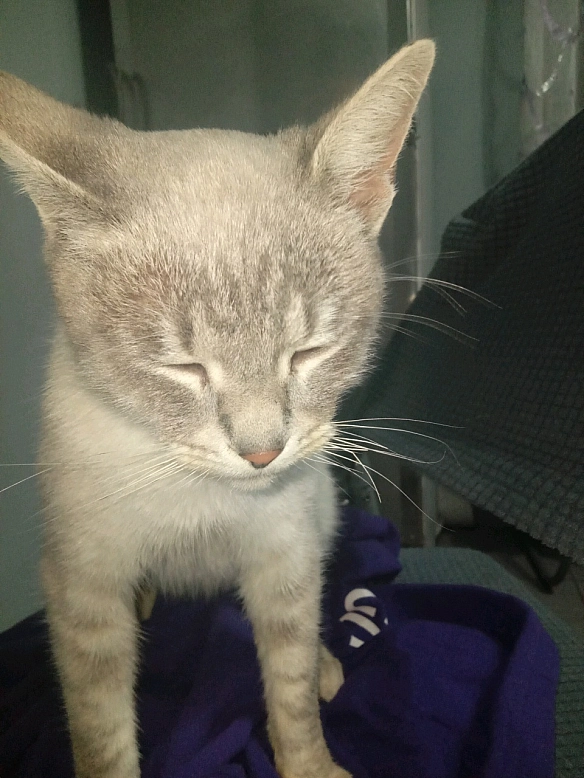 Я попала до нього в рабство... - Village UA on we.ua