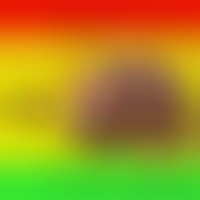 Свині біжуть на we.ua