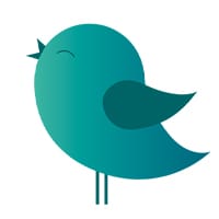 PIko Voice на we.ua