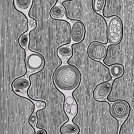 У минулому році я ходила на курс 