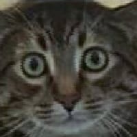 ґвинтoкрил на we.ua