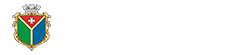 Сайт міста Шепетівка logo