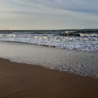 Ольга Шиляєва на we.ua