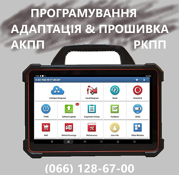 Послуги в автосервіс або транспортні послуги в Львові від 100 грн на we.ua