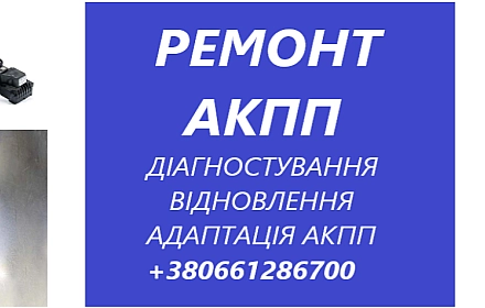 Послуги в автосервіс або транспортні послуги в Луцьку за 400 грн на we.ua