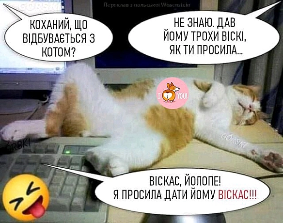 Коли захотів віскас🤭🤭 - Злата Злата на we.ua