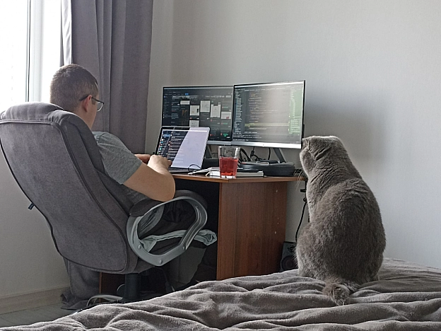 Тяжкі робочі будні котика🐱 - Sherlock Cat на we.ua