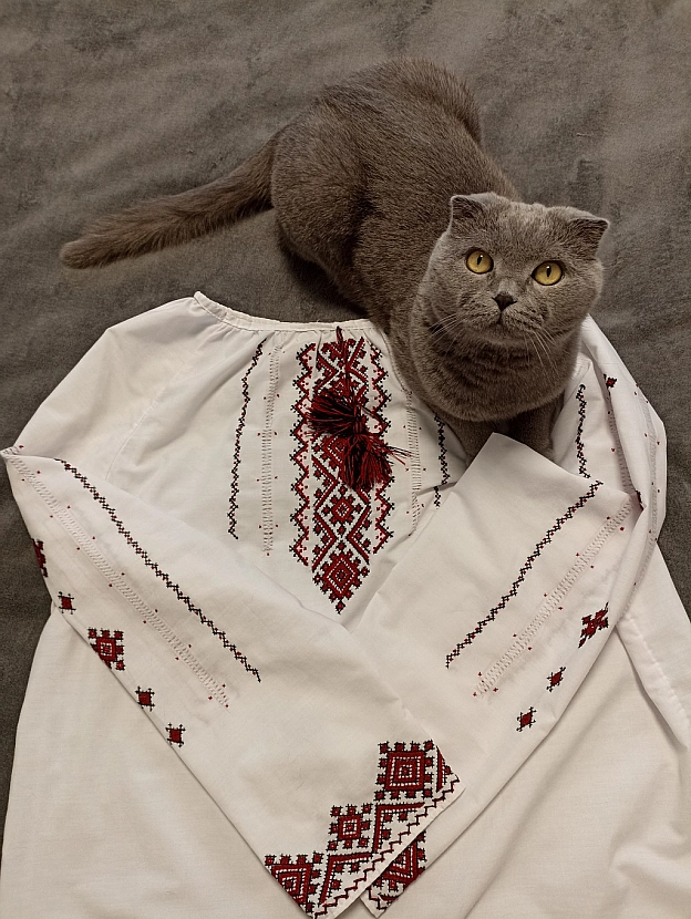 З Днем Вишиванки, Кицюні і Котики! - Sherlock Cat на we.ua