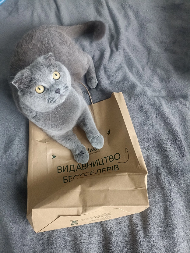 Подарунки для котика від Книжкової Країни на ВДНГ - Sherlock Cat на we.ua