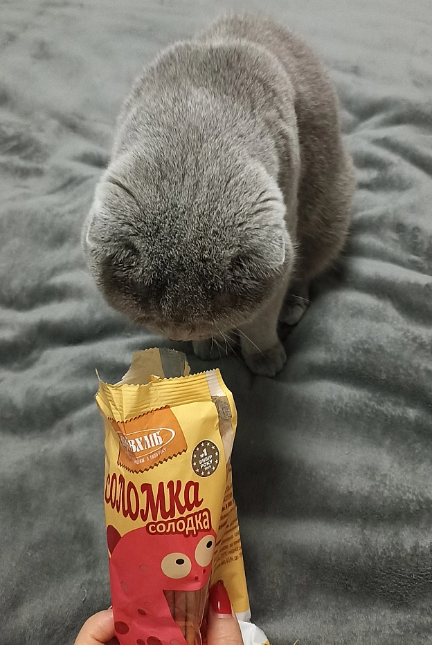 Ніякої реклами, просто дійсно дуже смачно пахло 😸 - Sherlock Cat на we.ua