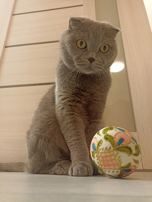 Напередодні Святвечора) - Sherlock Cat на we.ua