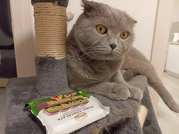 ″Смаколики″ для шкіряної - Sherlock Cat на we.ua