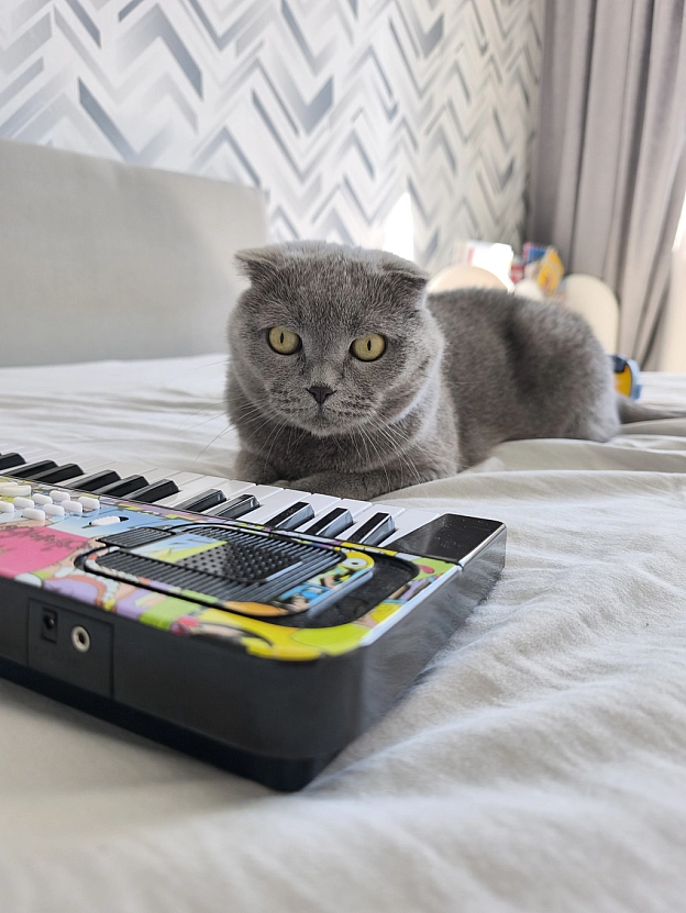 Вчусь грати😸 - на we.ua