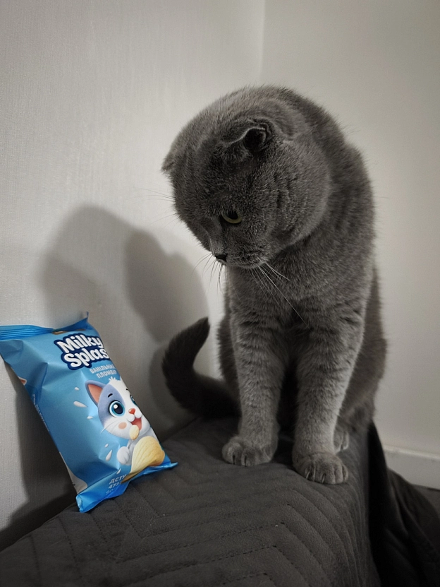 А ви вже куштували нове морозиво від Roshen? - Sherlock Cat на we.ua