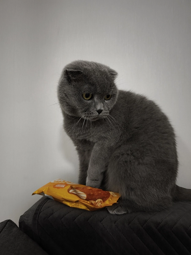 А ви вже куштували нове морозиво від Roshen? - Sherlock Cat на we.ua