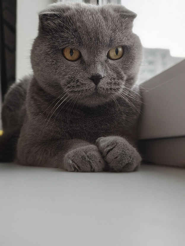 😻 - на we.ua