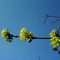 Дар'я Саченко на we.ua