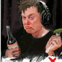 Гомека Каштан на we.ua