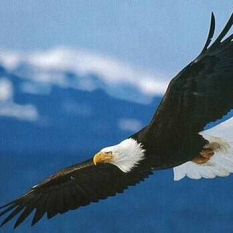 Alexandr Kobliuk - we.ua