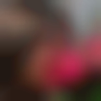 Стася Сіра на we.ua