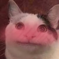 Думі Ньюбі на we.ua