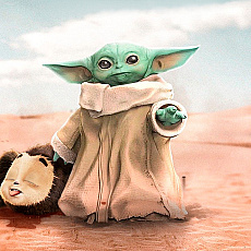 Grogu Kurwovic - we.ua