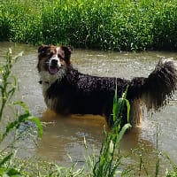 Kskristka на we.ua