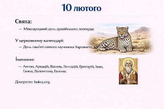 Анонім 2008 on we.ua