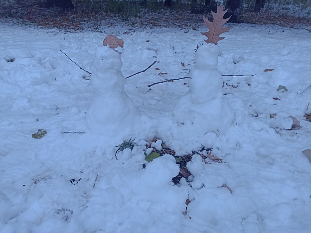 Хоч календар ще говорить ″Осінь″, та на дворі вже справжня зима❄️ - Роксолана на we.ua