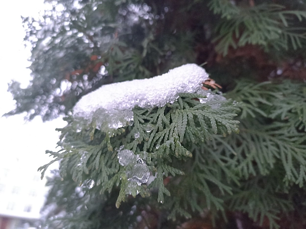 Хоч календар ще говорить ″Осінь″, та на дворі вже справжня зима❄️ - Роксолана на we.ua