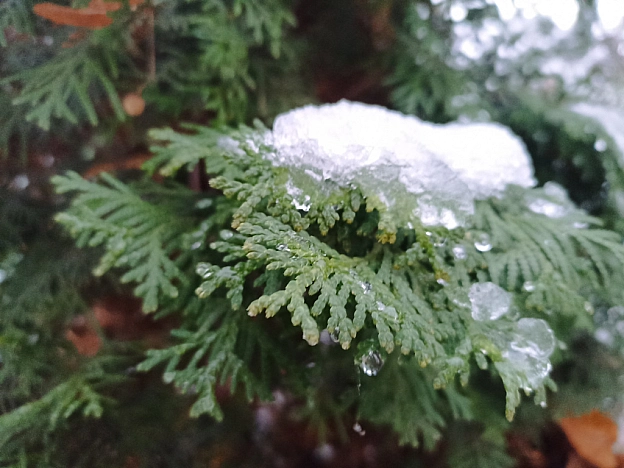 Хоч календар ще говорить ″Осінь″, та на дворі вже справжня зима❄️ - Роксолана на we.ua