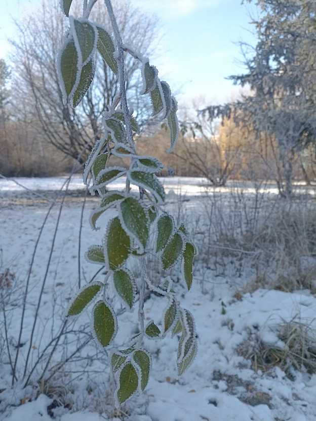 Зимова казка наприкінці листопада 🍂❄️ - Роксолана на we.ua