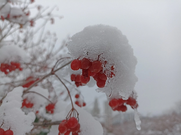 Зимова казка наприкінці листопада 🍂❄️ - Роксолана на we.ua