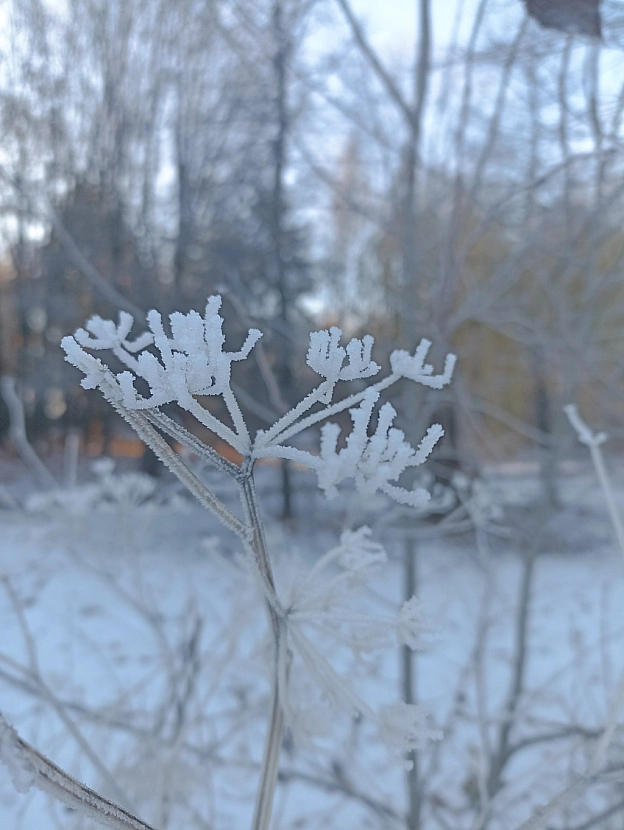 Зимова казка наприкінці листопада 🍂❄️ - Роксолана на we.ua