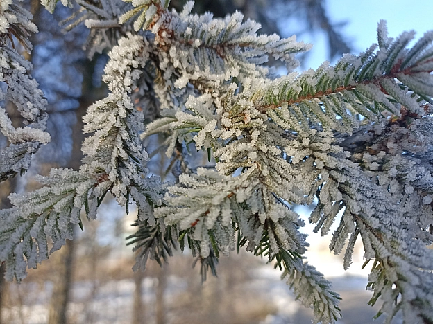 Зимова казка наприкінці листопада 🍂❄️ - Роксолана на we.ua