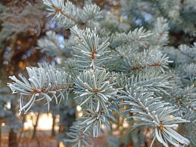 Зимова казка наприкінці листопада 🍂❄️ - Роксолана на we.ua