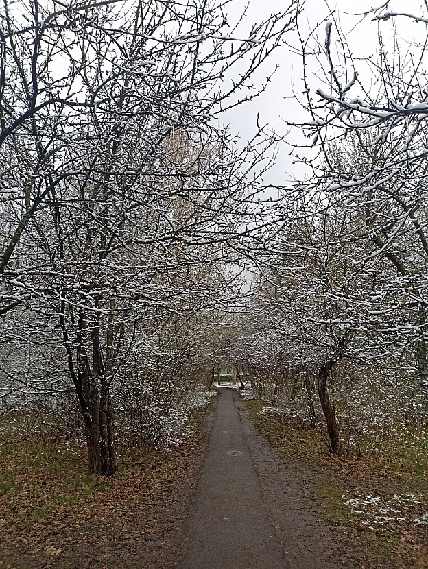 Зимово-весняні фото (10 квітня) - Роксолана на we.ua