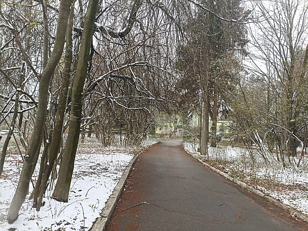 Зимово-весняні фото (10 квітня) - Роксолана на we.ua
