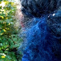 Вікторія на we.ua