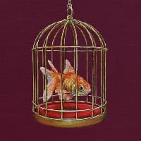 риба пише на we.ua