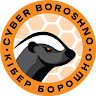 Cyber Boroshno на we.ua
