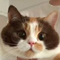 Дмитро на we.ua