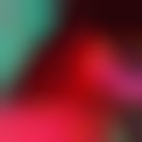 Ольга Гончар на we.ua