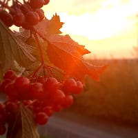 Іванка на we.ua