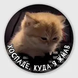 Куда я жмав