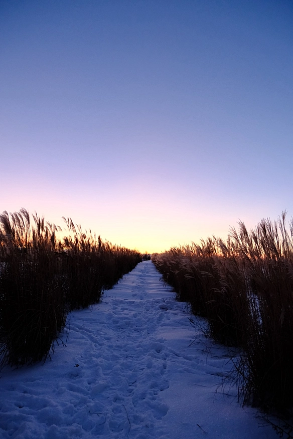 Любіма фотографія за останній час - Vitalii on we.ua